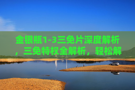 金银瓶1-3三免片深度解析，三免特权全解析，轻松解锁专属福利