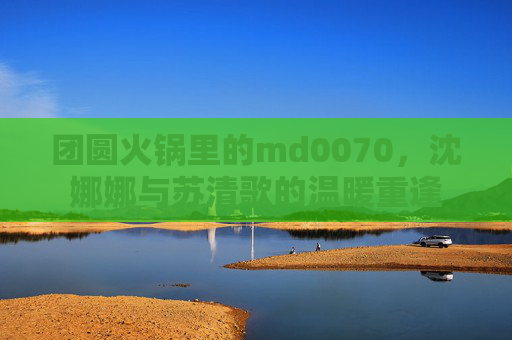 团圆火锅里的md0070，沈娜娜与苏清歌的温暖重逢