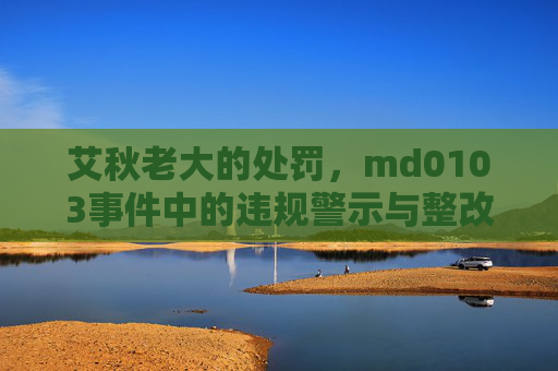 艾秋老大的处罚，md0103事件中的违规警示与整改启示