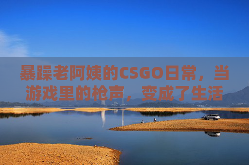 暴躁老阿姨的CSGO日常，当游戏里的枪声，变成了生活里的别吵