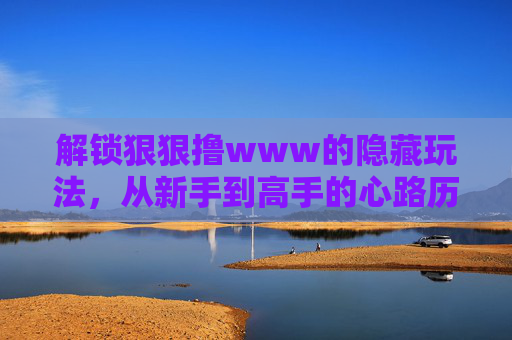 解锁狠狠撸www的隐藏玩法，从新手到高手的心路历程——揭秘高效网络冲浪的进阶技巧