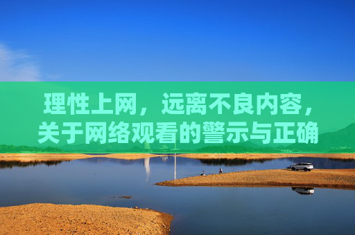 理性上网，远离不良内容，关于网络观看的警示与正确引导