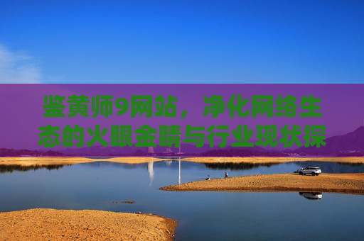 鉴黄师9网站，净化网络生态的火眼金睛与行业现状探析