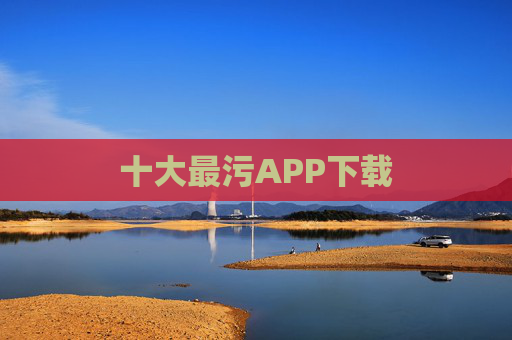 十大最污APP下载