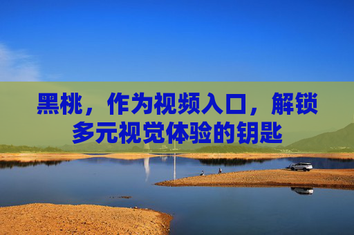 黑桃，作为视频入口，解锁多元视觉体验的钥匙
