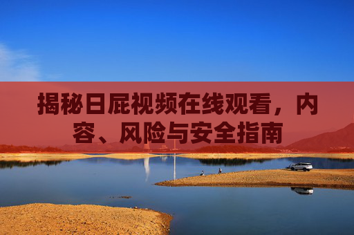 揭秘日屁视频在线观看，内容、风险与安全指南