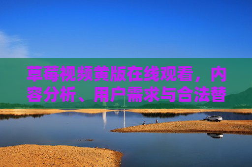 草莓视频黄版在线观看，内容分析、用户需求与合法替代方案探讨