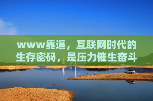 www靠逼，互联网时代的生存密码，是压力催生奋斗的引擎