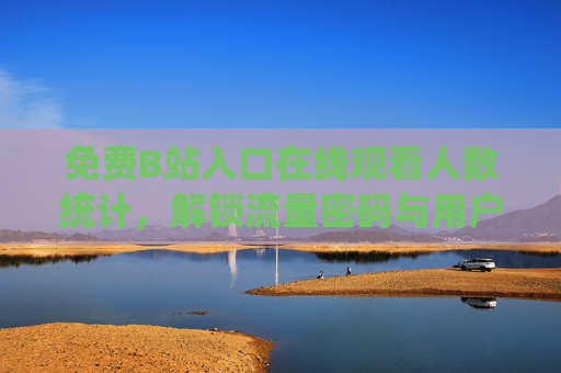 免费B站入口在线观看人数统计，解锁流量密码与用户洞察的实用指南