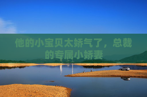 他的小宝贝太娇气了，总裁的专属小娇妻