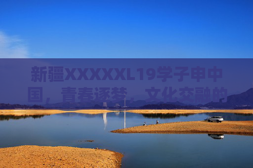 新疆XXXXXL19学子申中国，青春逐梦，文化交融的奋斗足迹
