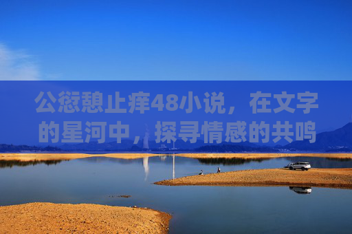 公愆憩止痒48小说，在文字的星河中，探寻情感的共鸣与成长的轨迹