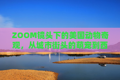 ZOOM镜头下的美国动物奇观，从城市街头的萌宠到西部荒野的野性生灵——美国动物ZOOM大全的精彩呈现