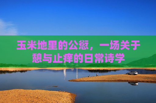 玉米地里的公愆，一场关于憩与止痒的日常诗学