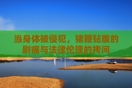当身体被侵犯，猪鞭钻腹的剧痛与法律伦理的拷问
