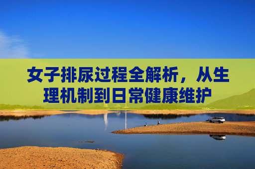女子排尿过程全解析，从生理机制到日常健康维护