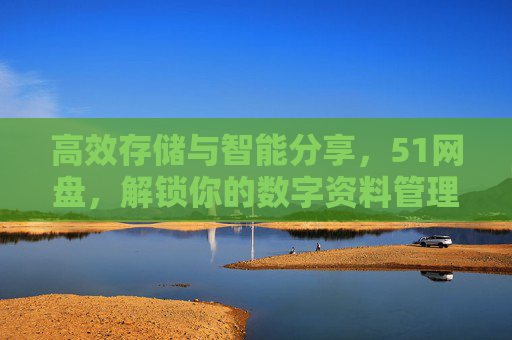 高效存储与智能分享，51网盘，解锁你的数字资料管理新体验