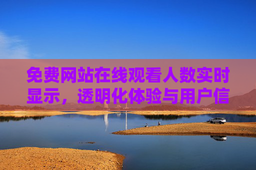 免费网站在线观看人数实时显示，透明化体验与用户信任的桥梁