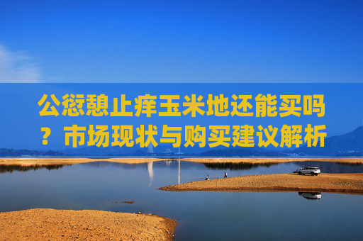 公愆憩止痒玉米地还能买吗？市场现状与购买建议解析