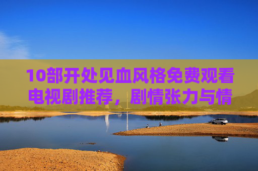 10部开处见血风格免费观看电视剧推荐，剧情张力与情感共鸣的沉浸体验