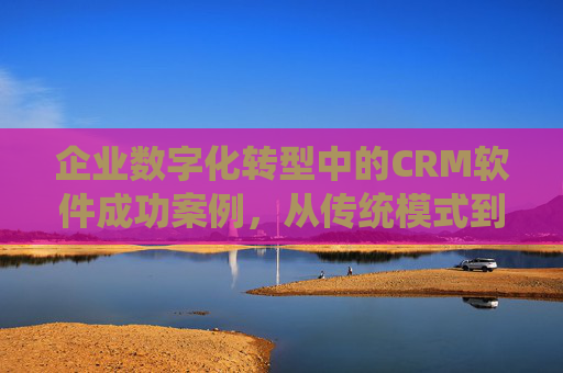 企业数字化转型中的CRM软件成功案例，从传统模式到客户价值驱动的转型实践