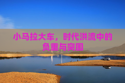 小马拉大车，时代洪流中的负重与突围