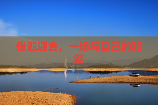 慢迎迎合，一场与自己的和解
