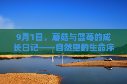 9月1日，蘑菇与蓝莓的成长日记——自然里的生命序曲