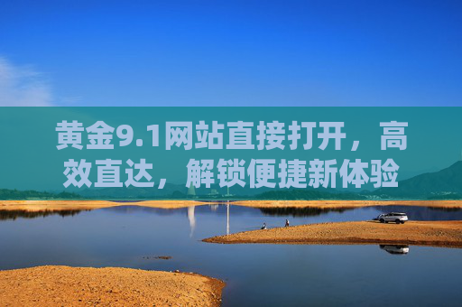 黄金9.1网站直接打开，高效直达，解锁便捷新体验