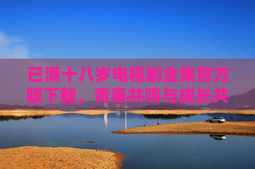已满十八岁电视剧全集官方版下载，青春共鸣与成长共鸣，高清资源尽在掌握