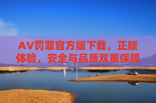 AV罚罪官方版下载，正版体验，安全与品质双重保障的影视应用