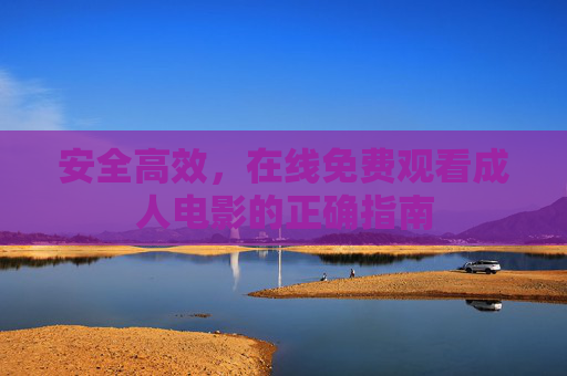 安全高效，在线免费观看成人电影的正确指南