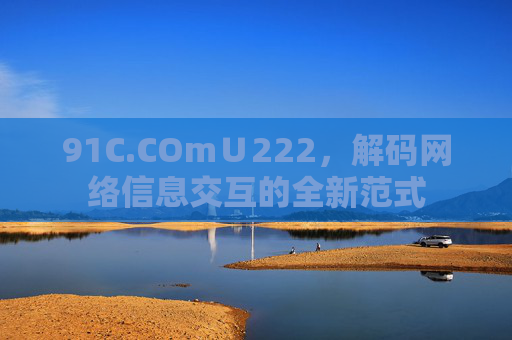 91C.COm∪222，解码网络信息交互的全新范式