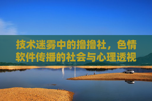 技术迷雾中的撸撸社，色情软件传播的社会与心理透视