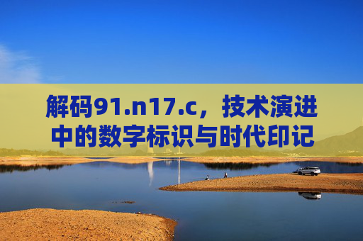 解码91.n17.c,技术演进中的数字标识与时代印记