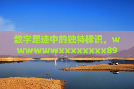 数字足迹中的独特标识,wwwwwwxxxxxxxx89的故事与意义