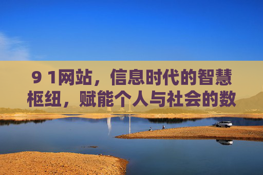 9 1网站，信息时代的智慧枢纽，赋能个人与社会的数字桥梁