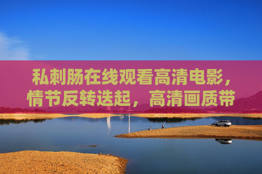 私刺肠在线观看高清电影，情节反转迭起，高清画质带来沉浸式观影体验