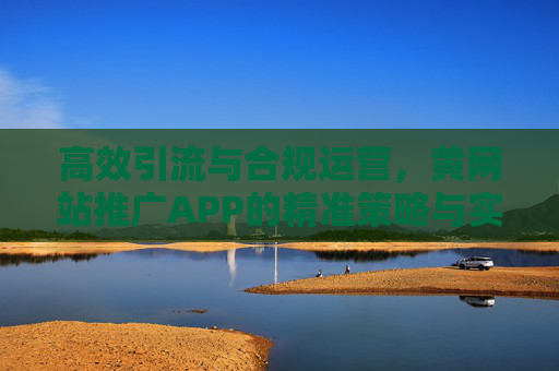 高效引流与合规运营，黄网站推广APP的精准策略与实践