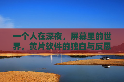 一个人在深夜，屏幕里的世界，黄片软件的独白与反思