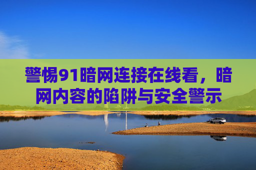 警惕91暗网连接在线看,暗网内容的陷阱与安全警示