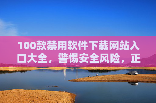 100款禁用软件下载网站入口大全，警惕安全风险，正版软件才是明智之选