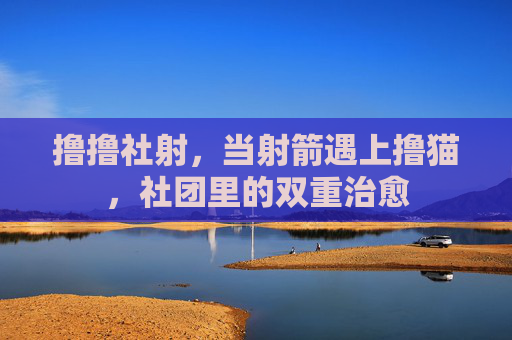 撸撸社射，当射箭遇上撸猫，社团里的双重治愈