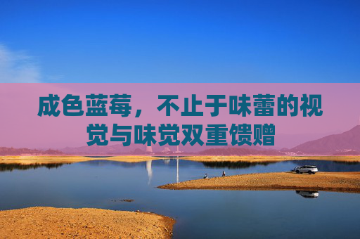 成色蓝莓，不止于味蕾的视觉与味觉双重馈赠