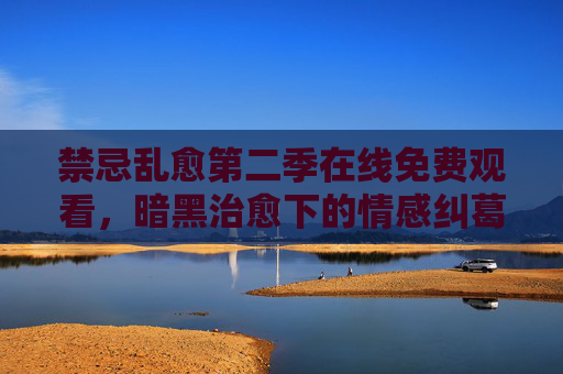禁忌乱愈第二季在线免费观看，暗黑治愈下的情感纠葛与成长之路