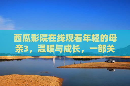 西瓜影院在线观看年轻的母亲3，温暖与成长，一部关于母爱与家庭温暖的动人篇章