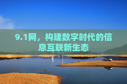 9.1网，构建数字时代的信息互联新生态