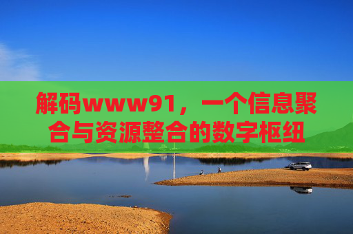 解码www91，一个信息聚合与资源整合的数字枢纽