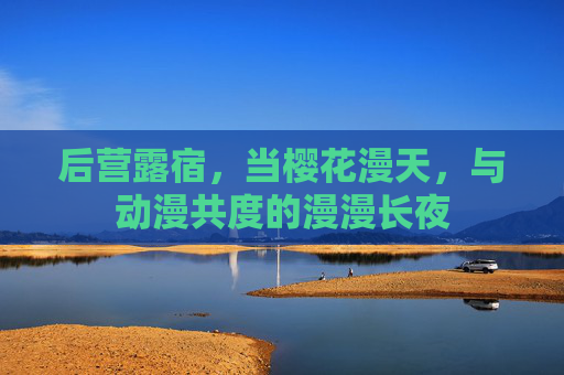 后营露宿，当樱花漫天，与动漫共度的漫漫长夜