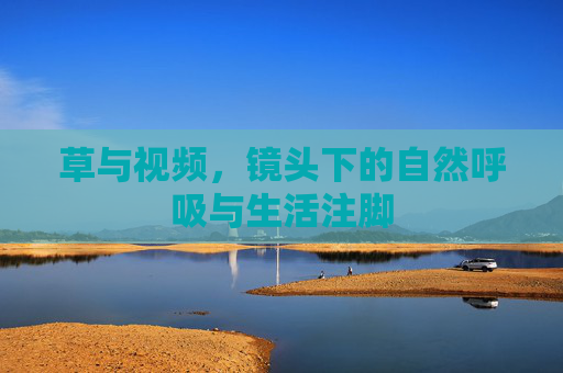 草与视频，镜头下的自然呼吸与生活注脚